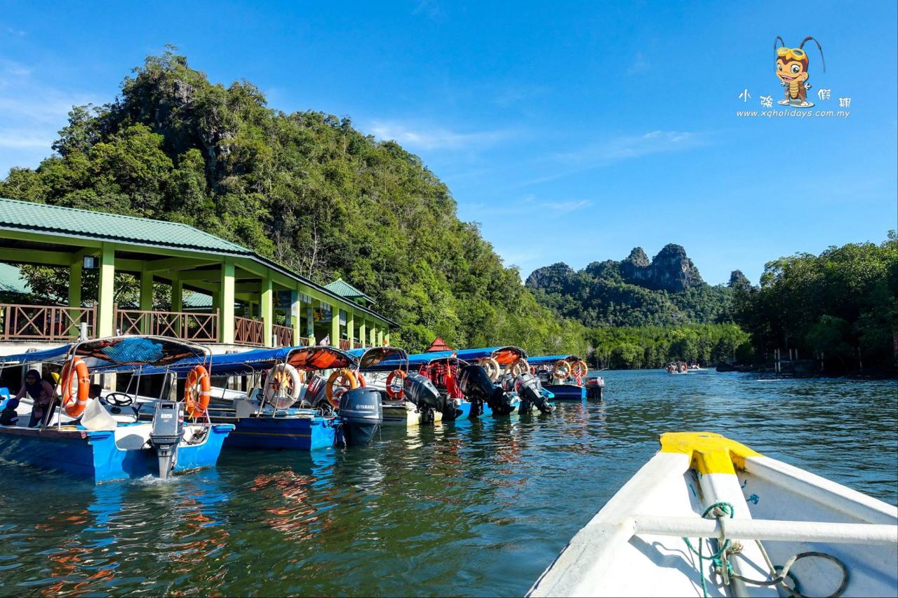 Jelajahi Keindahan Hutan Mangrove Langkawi dengan Mangrove Tour